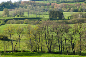 Pompes Funèbres Rosny-sous-Bois